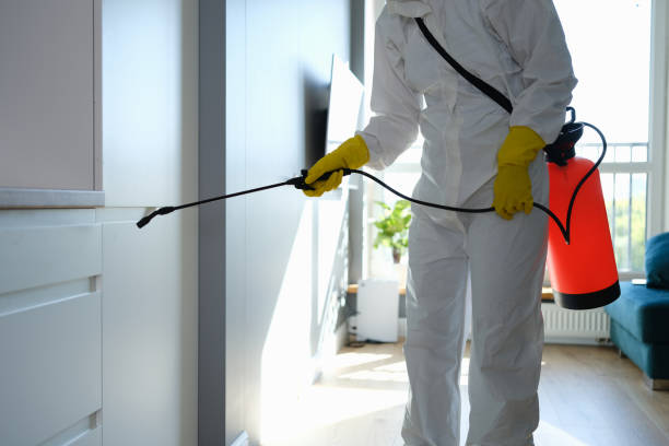 Mold Remediation for Vacation Homes in East St Louis, IL